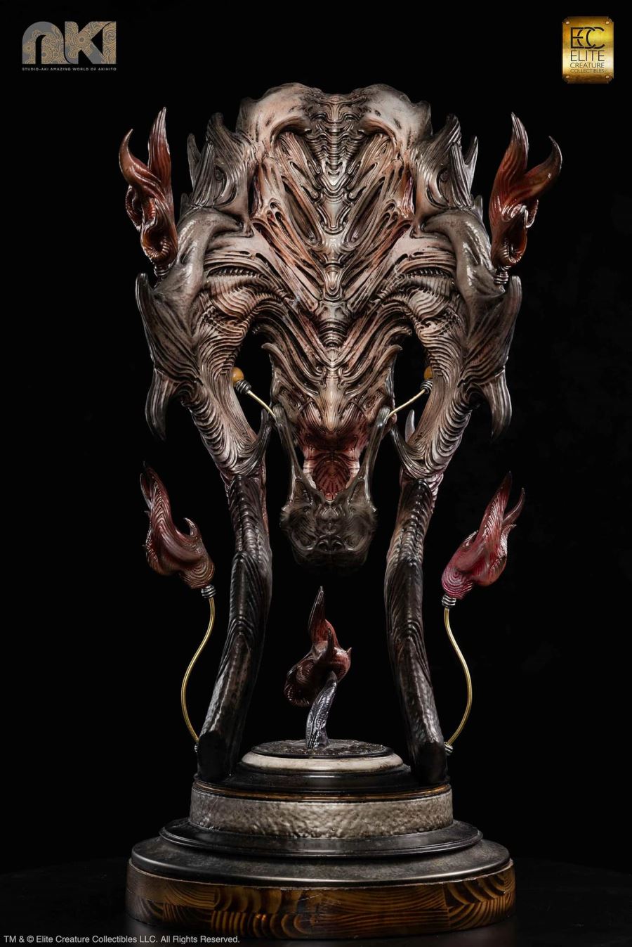 Fire Soul by Akihito