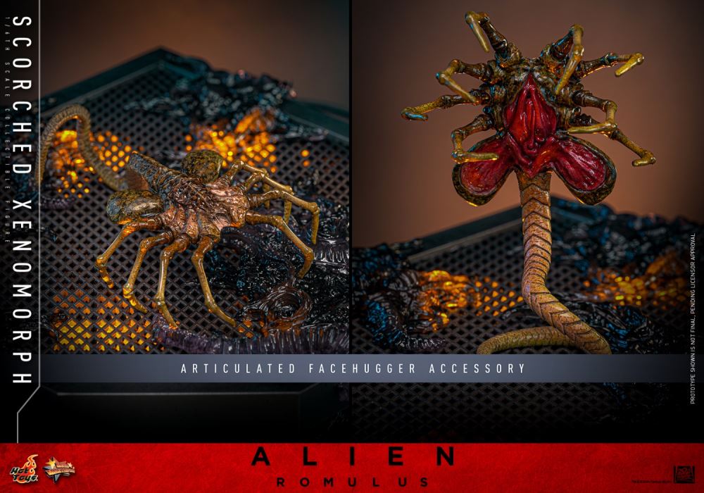 Scorched Xenomorph 1/6