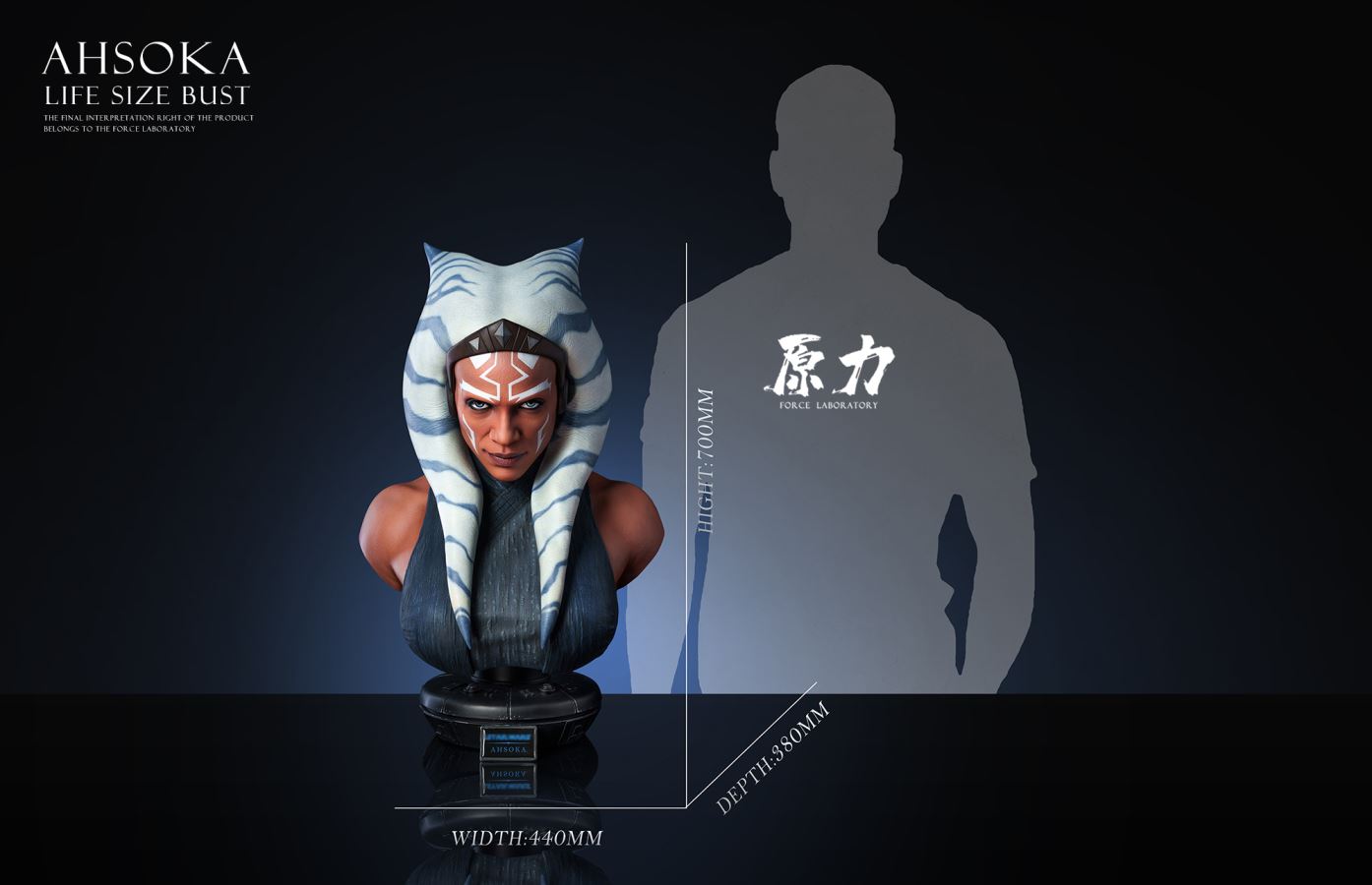 Ahsoka Bust - Star Wars 1/1