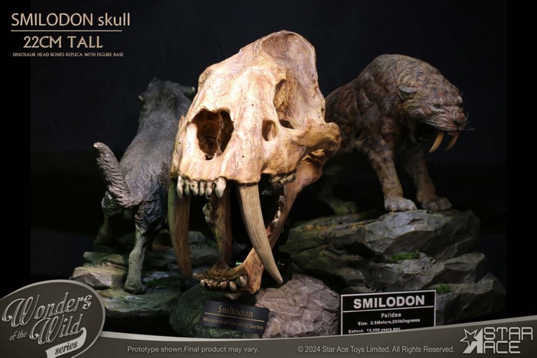 Wonder Wild Series - Sabre-toothed Tiger Skull Fossil Statue