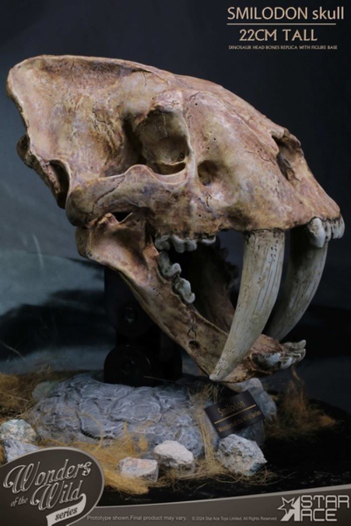 Wonder Wild Series - Sabre-toothed Tiger Skull Fossil Statue