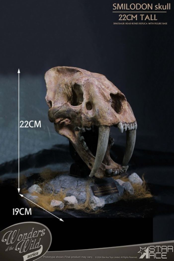 Wonder Wild Series - Sabre-toothed Tiger Skull Fossil Statue