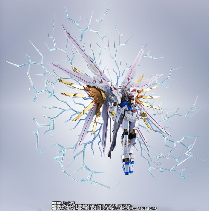 METAL ROBOT SPIRITS <SIDE MS> PROUD DEFENDER ＆ EFFECT PARTS SET