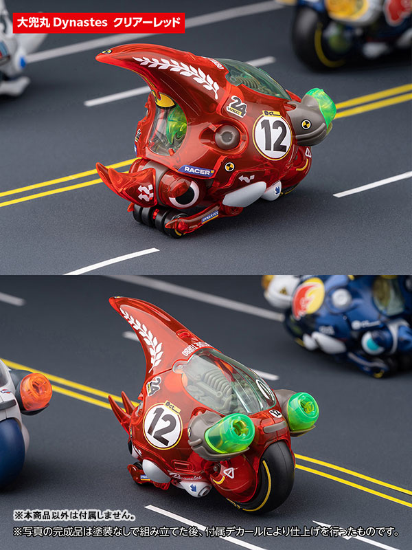 LUNCH BOX Dynastes Clear Red