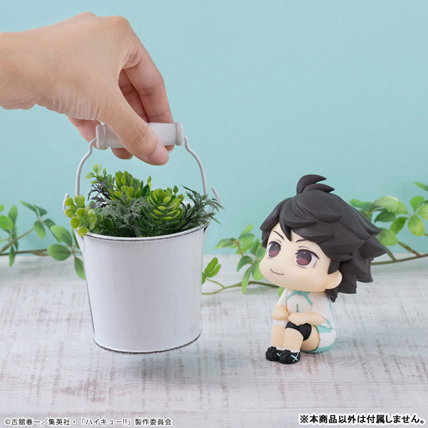 LookUp Haikyuu!! Uniform Ver - Toru Oikawa & Hajime Iwaizumi