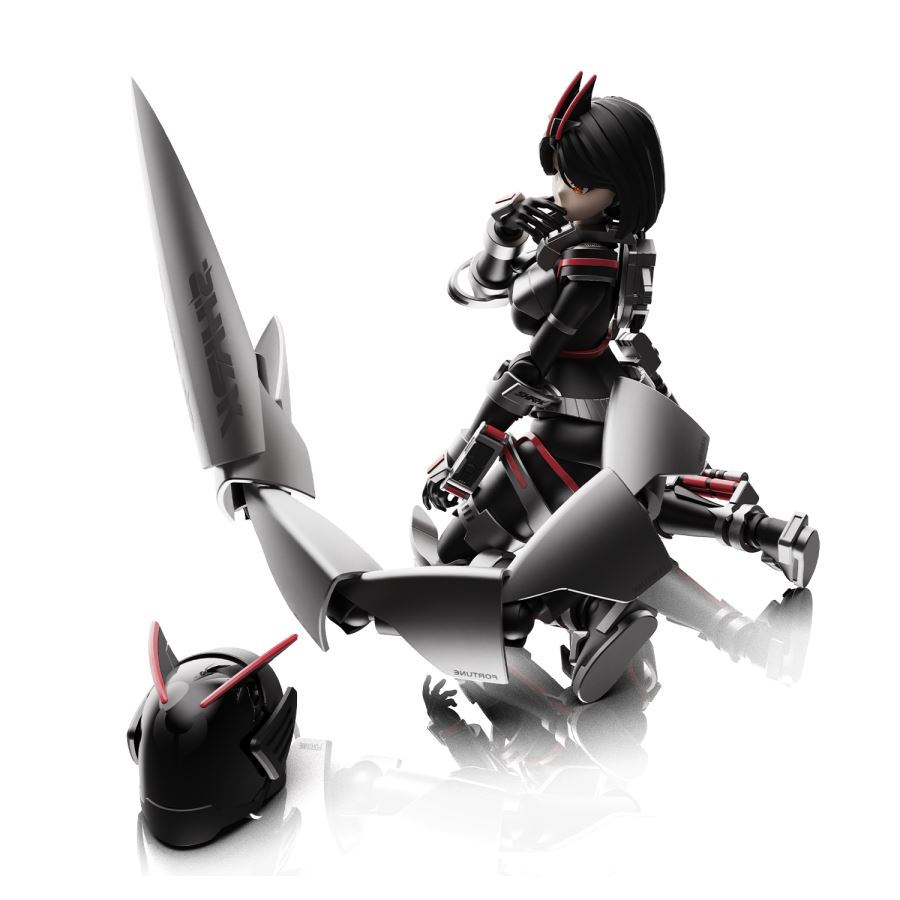  - Battle Rider Goddess Sako Assembly Model