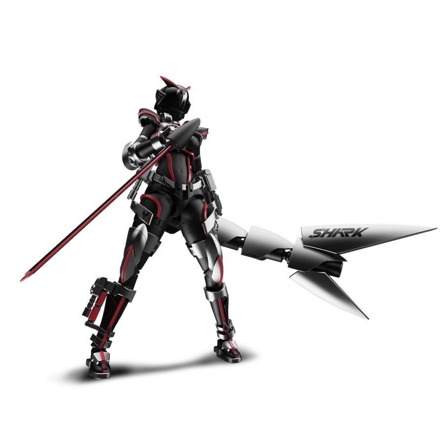  - Battle Rider Goddess Sako Assembly Model