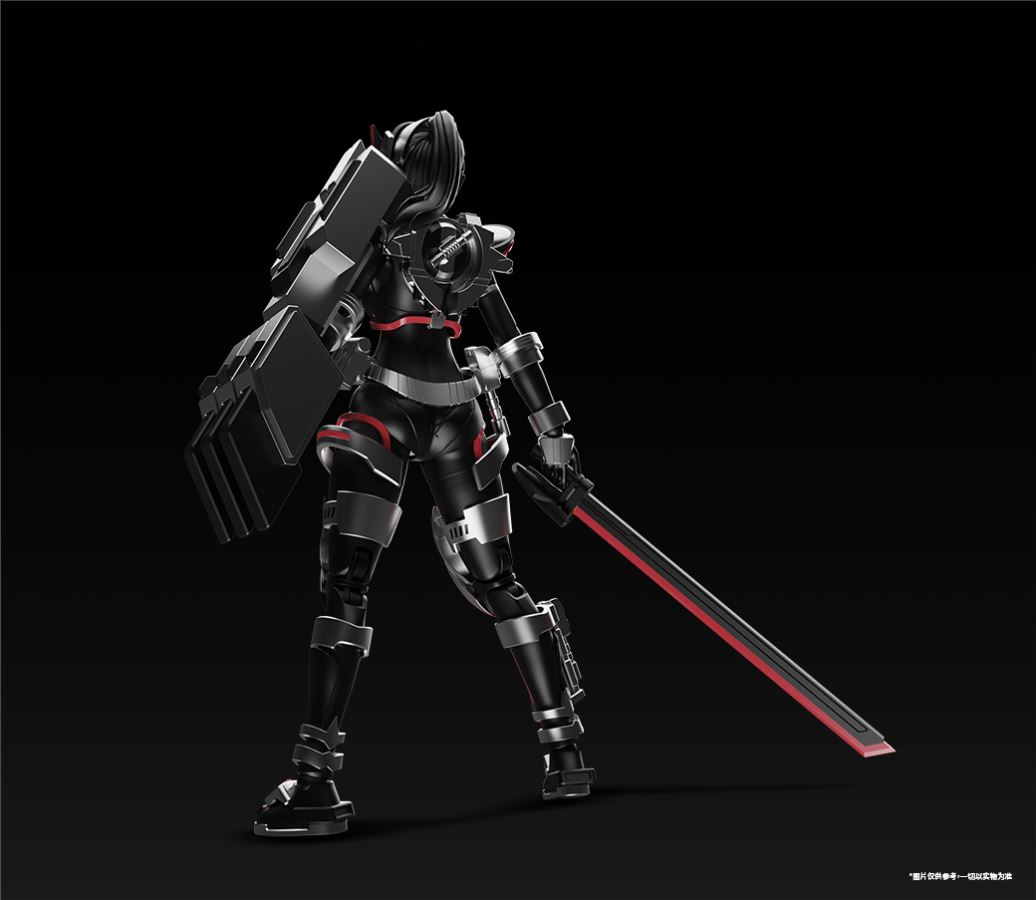  - Battle Rider Goddess Sako Assembly Model