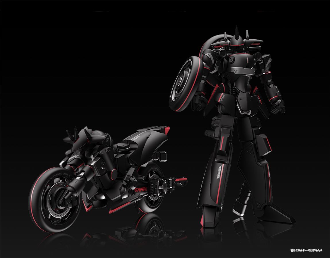  - Battle Rider Goddess Sako Assembly Model