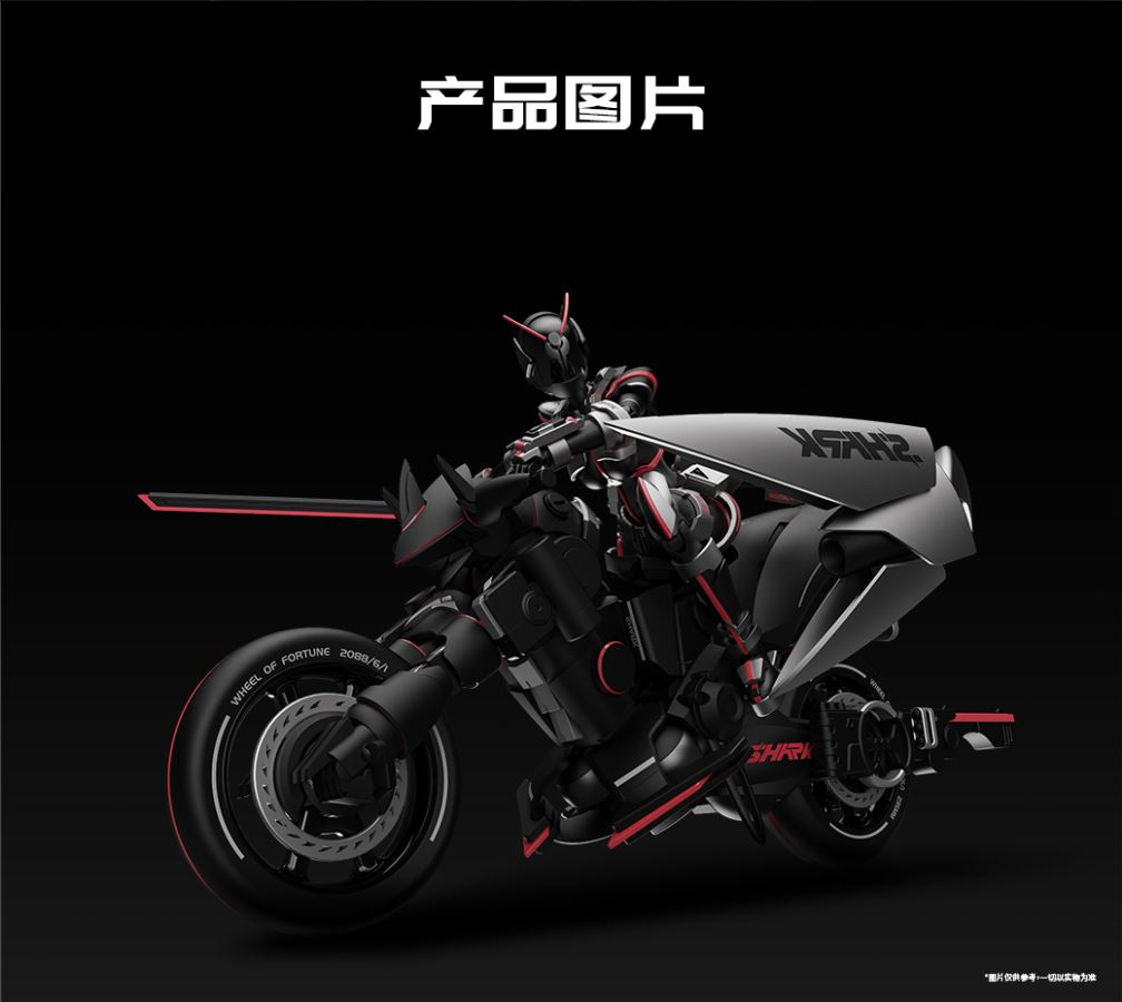  - Battle Rider Goddess Sako Assembly Model