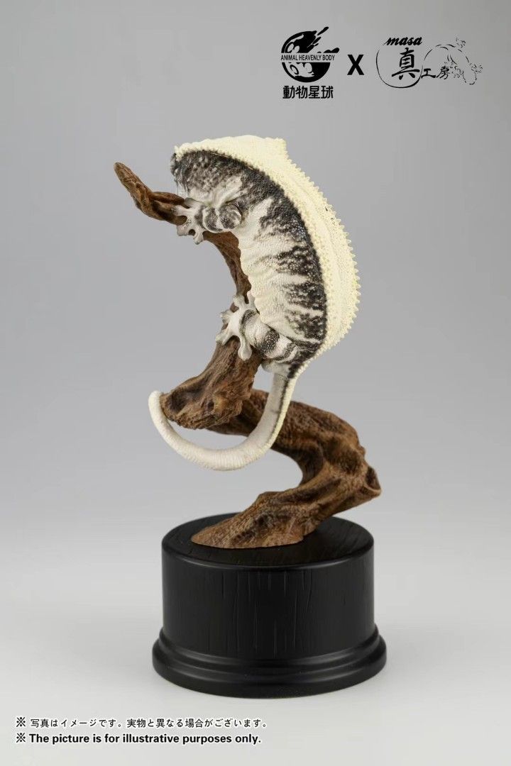 Realistic Series Lily White Gecko Arboreal Stance