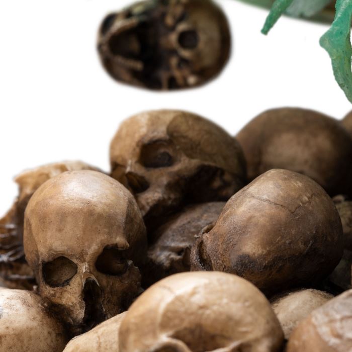 KING OF THE DEAD - The Lord of the Rings