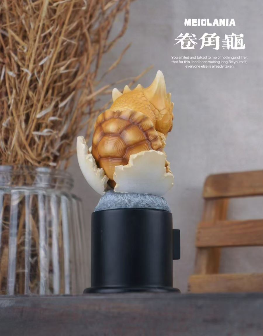 Original 2024 Ancient Turtle [Licensed]