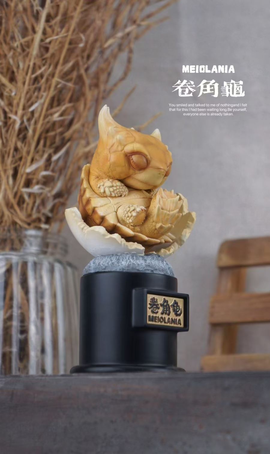 Original 2024 Ancient Turtle [Licensed]