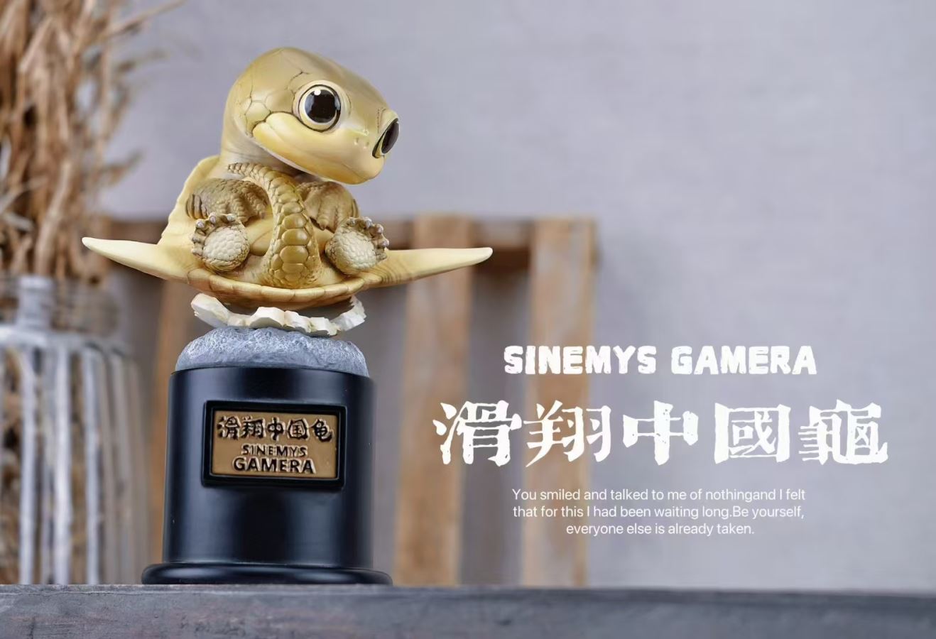 Original 2024 Ancient Turtle [Licensed]