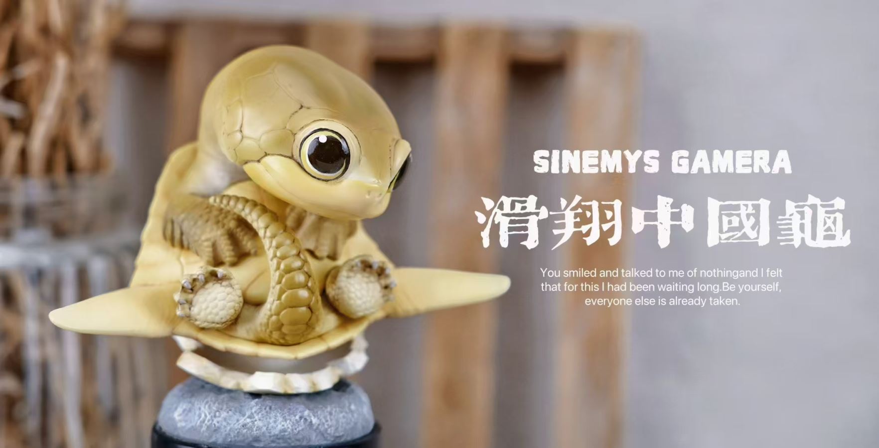 Original 2024 Ancient Turtle [Licensed]