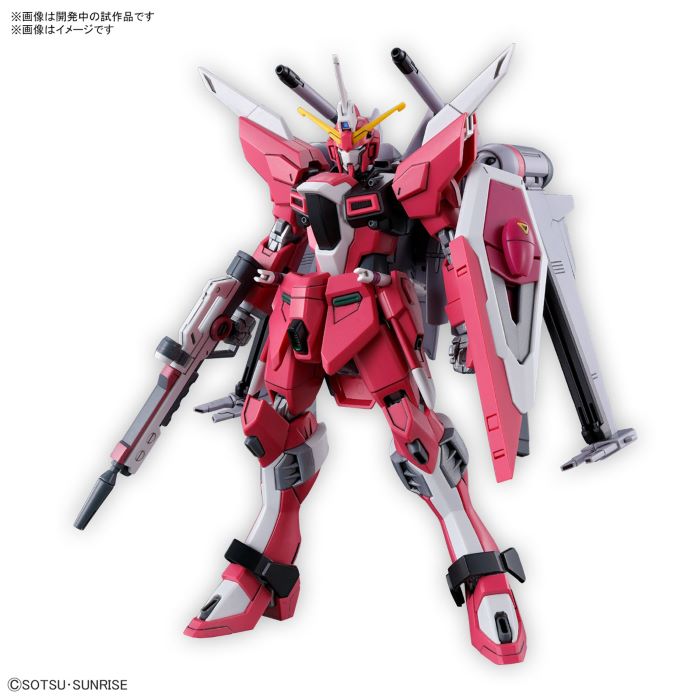 HG 1/144 Infinite Justice Gundam Type 2