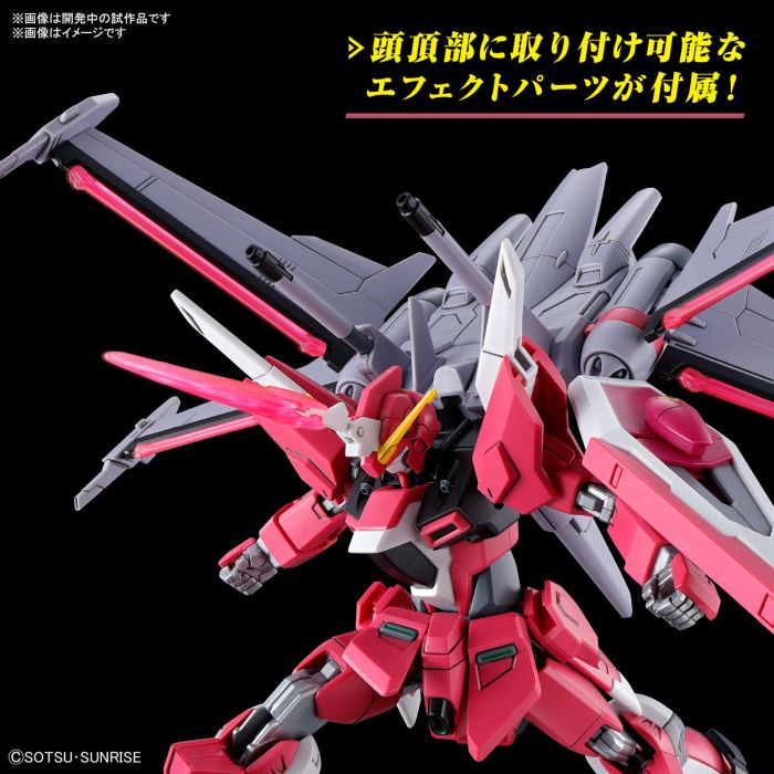 HG 1/144 Infinite Justice Gundam Type 2