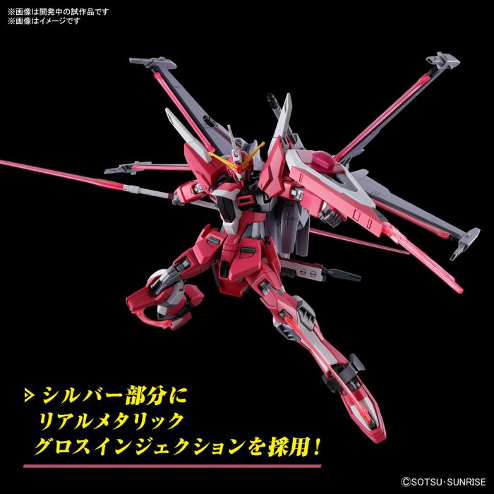 HG 1/144 Infinite Justice Gundam Type 2
