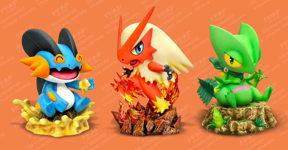 Mini Blaziken & Mini Swampert - Pokemon