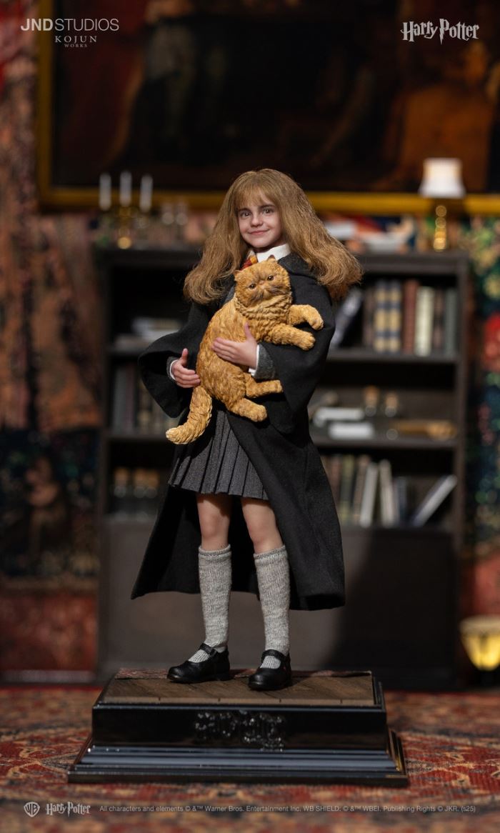 Harry Potter and the Sorcerer's Stone Harry Potter, Hermione Granger and Ron Weasley C-Type 1/6