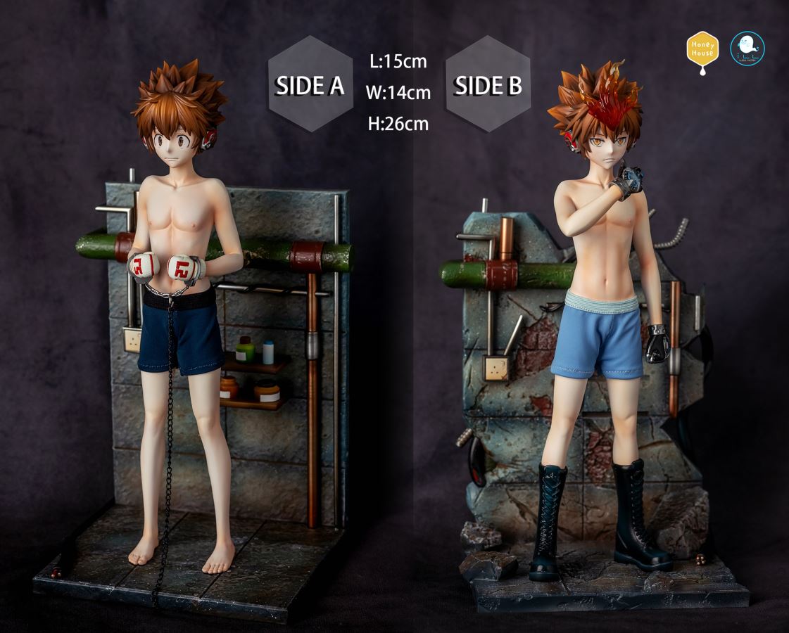 Sawada Tsunayoshi - Reborn