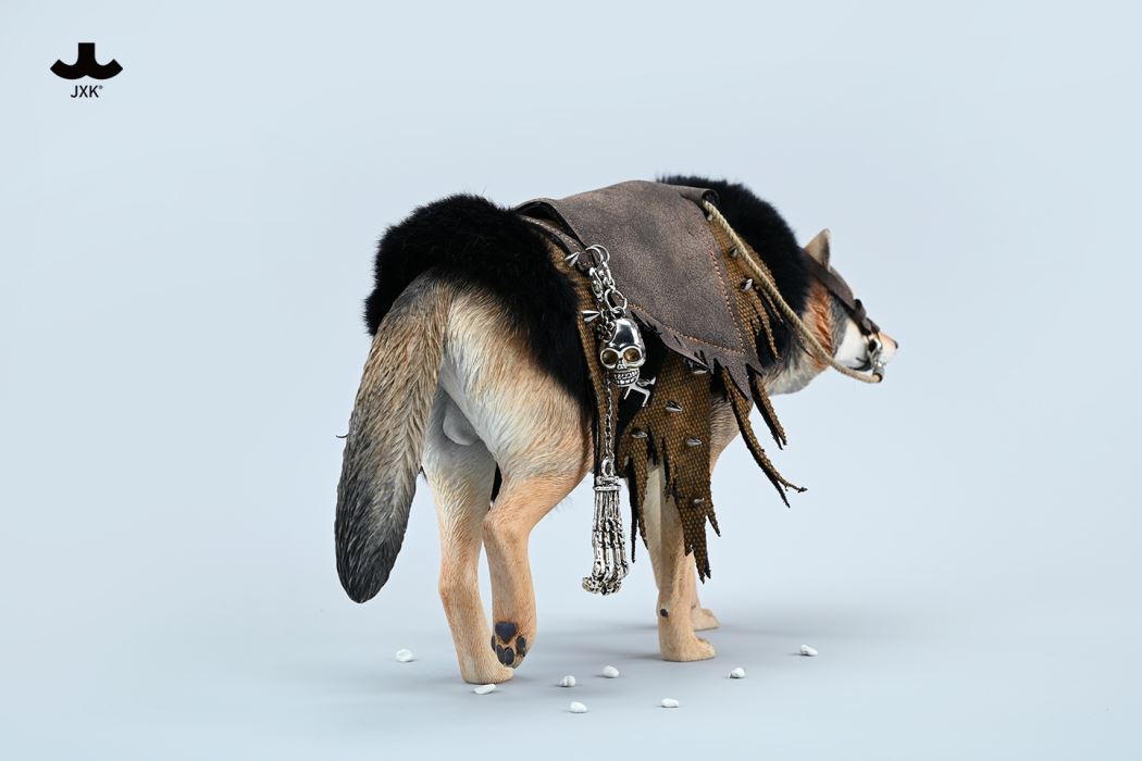 Common Gray wolf 1/6