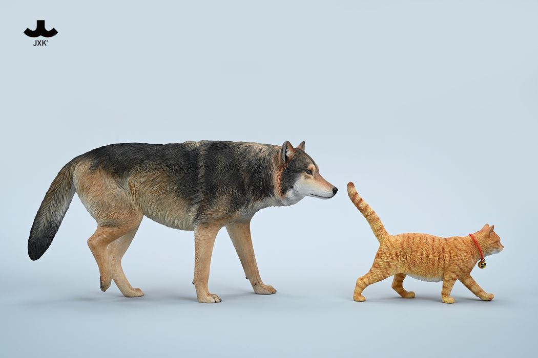 Common Gray wolf 1/6