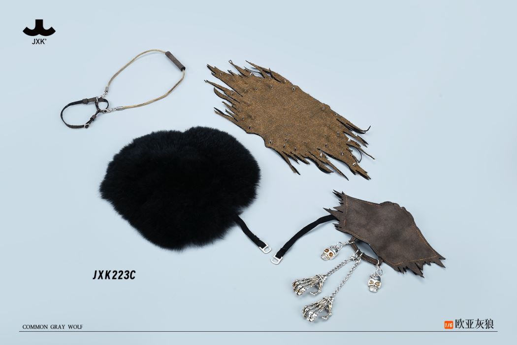 Common Gray wolf 1/6