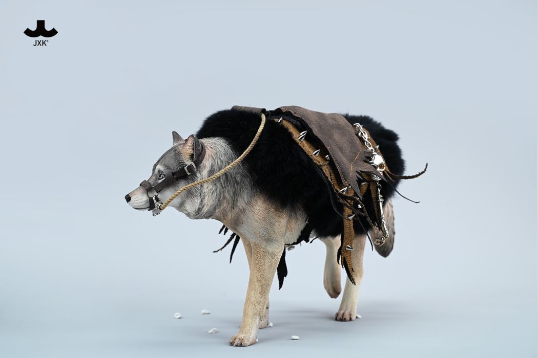 Common Gray wolf 1/6