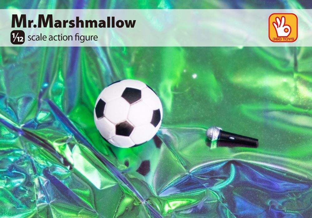 DJ Mr.Marshmallow 1/12