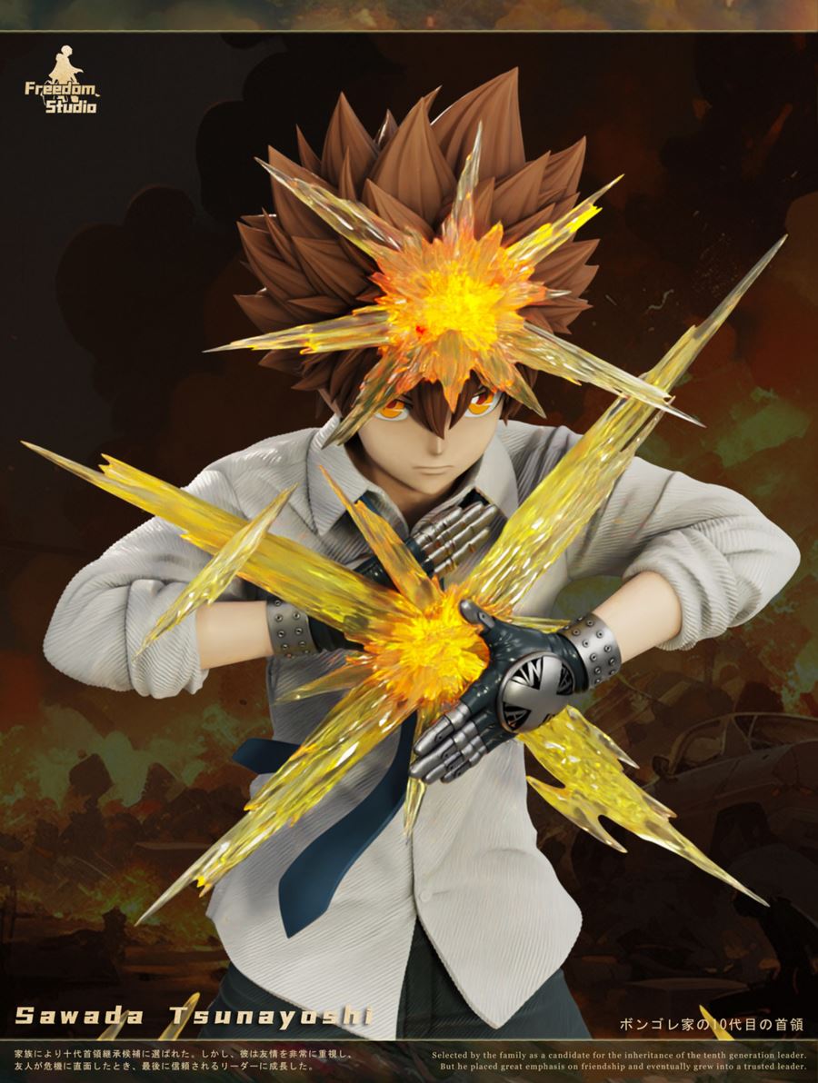 Sawada Tsunayoshi - Reborn