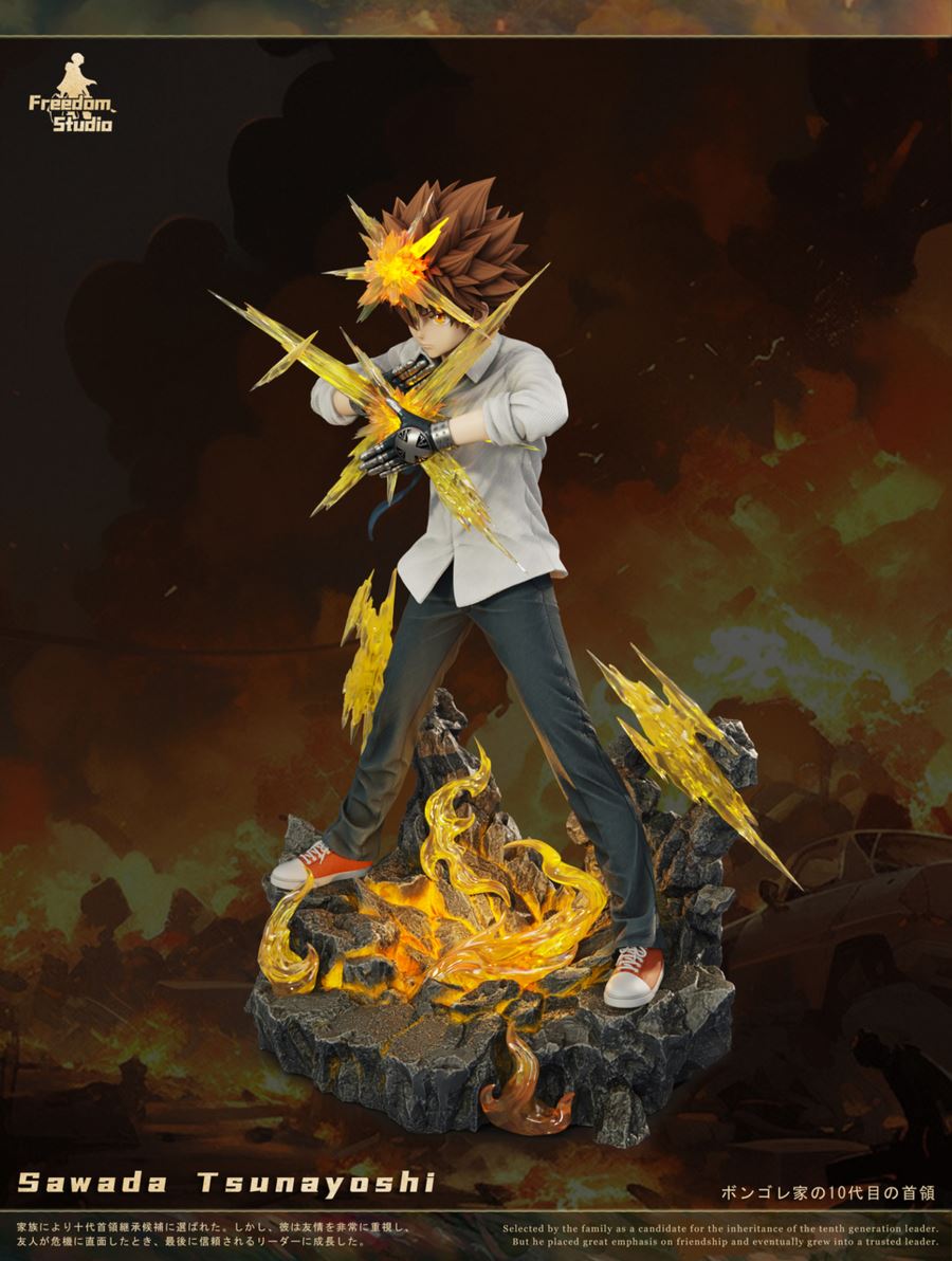 Sawada Tsunayoshi - Reborn