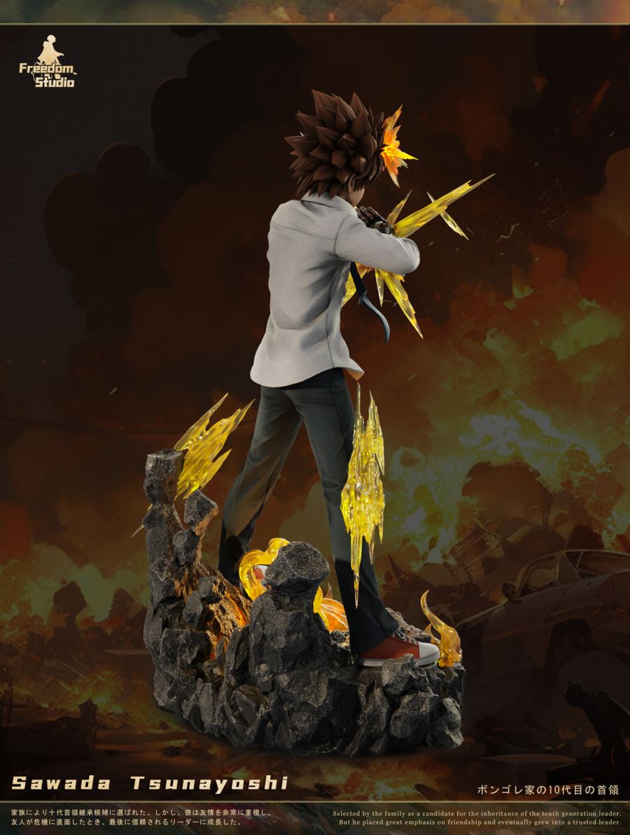 Sawada Tsunayoshi - Reborn