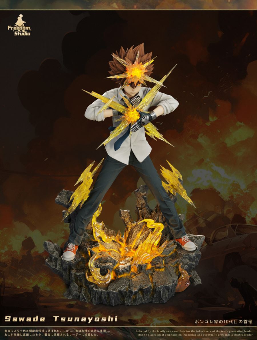 Sawada Tsunayoshi - Reborn