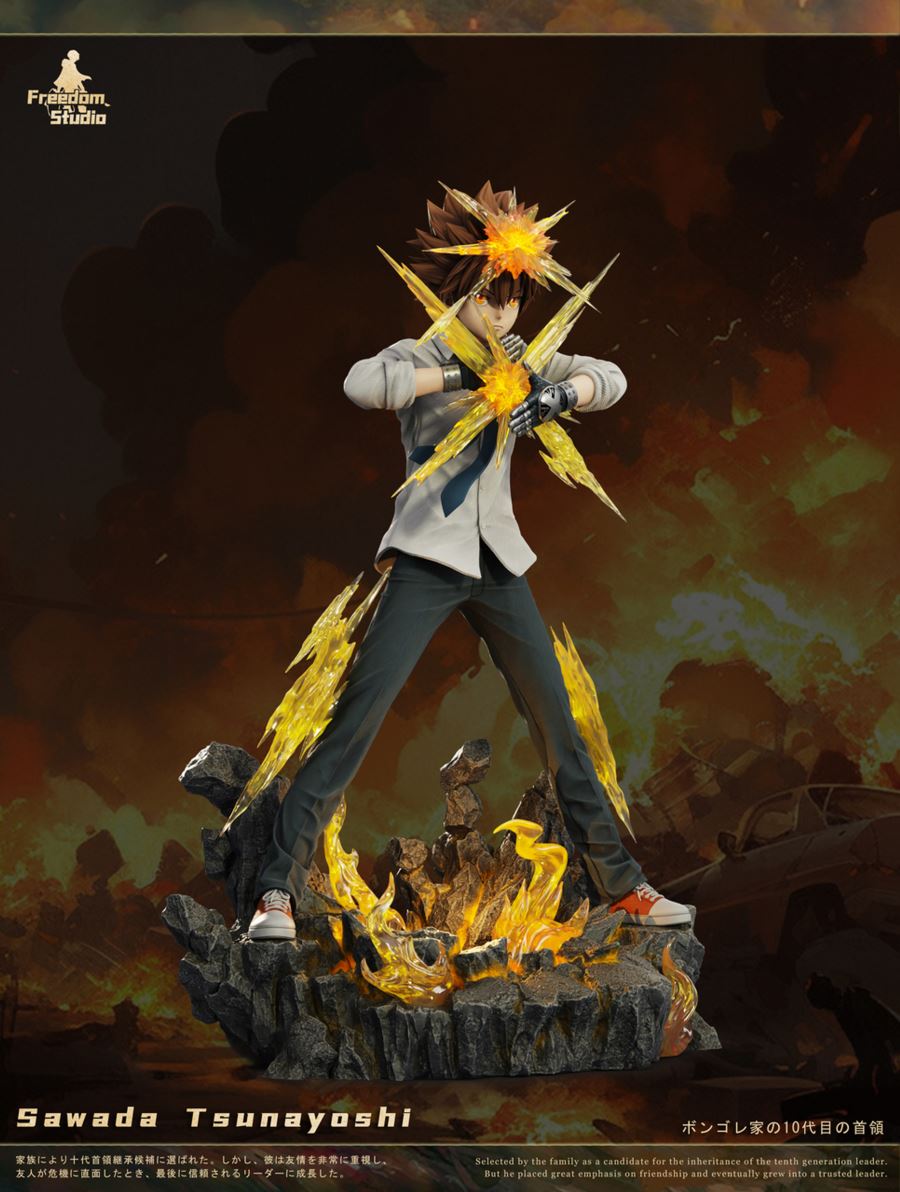 Sawada Tsunayoshi - Reborn