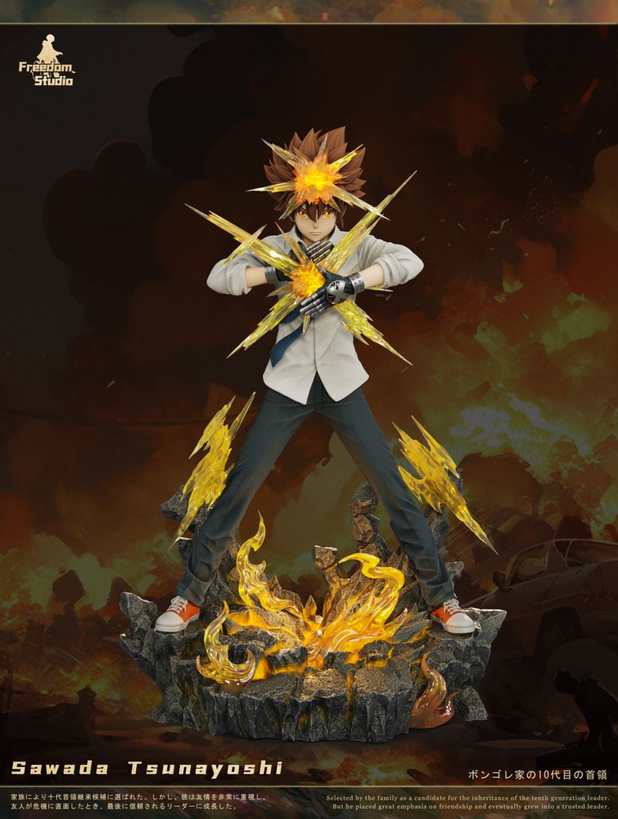 Sawada Tsunayoshi - Reborn