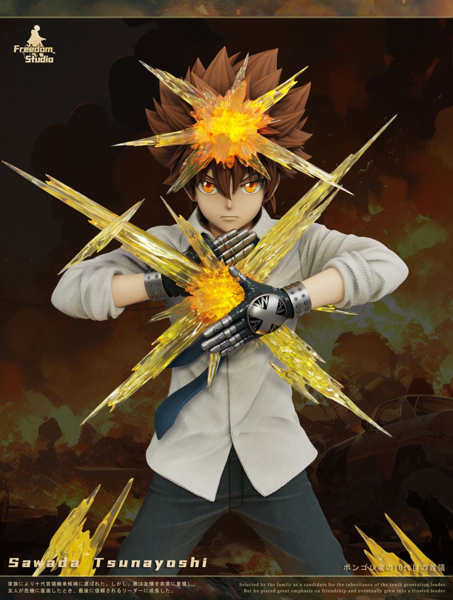Sawada Tsunayoshi - Reborn
