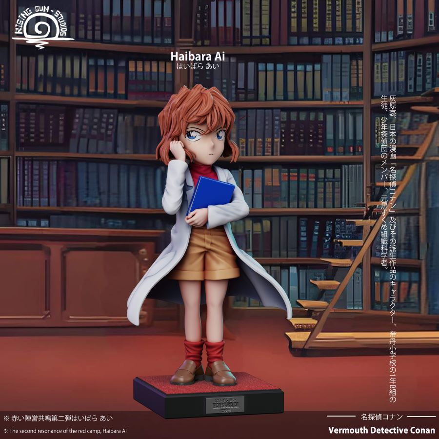 HIBARA AI - Detective Conan