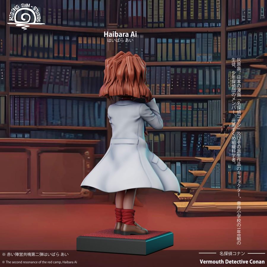 HIBARA AI - Detective Conan
