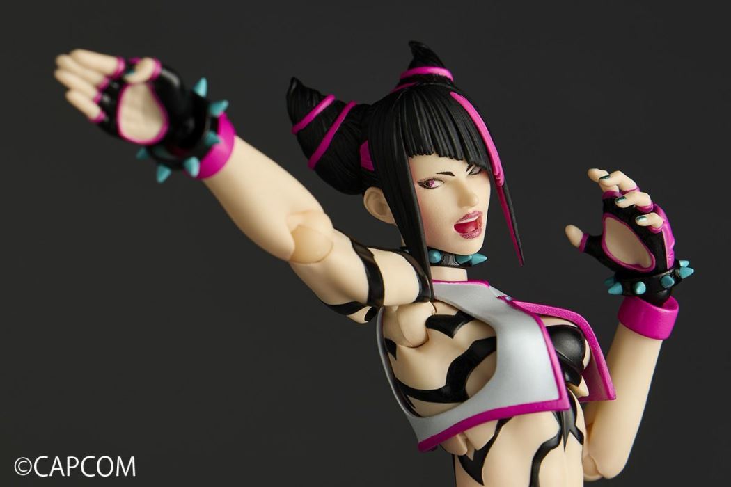 The Amazing Yamaguchi Street Fighter Series Juri
