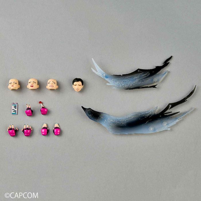 The Amazing Yamaguchi Street Fighter Series Juri