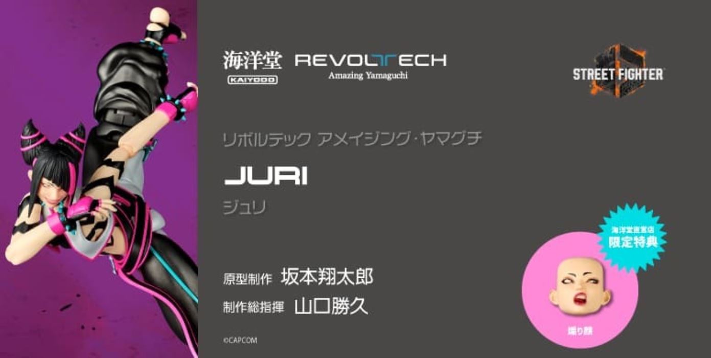 The Amazing Yamaguchi Street Fighter Series Juri