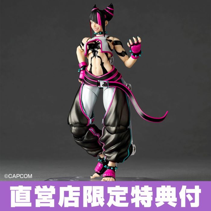 The Amazing Yamaguchi Street Fighter Series Juri