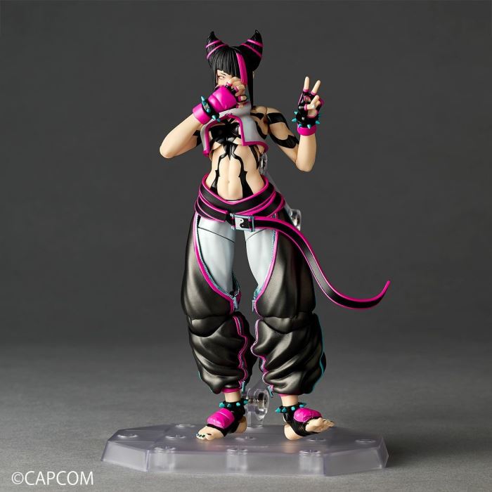The Amazing Yamaguchi Street Fighter Series Juri