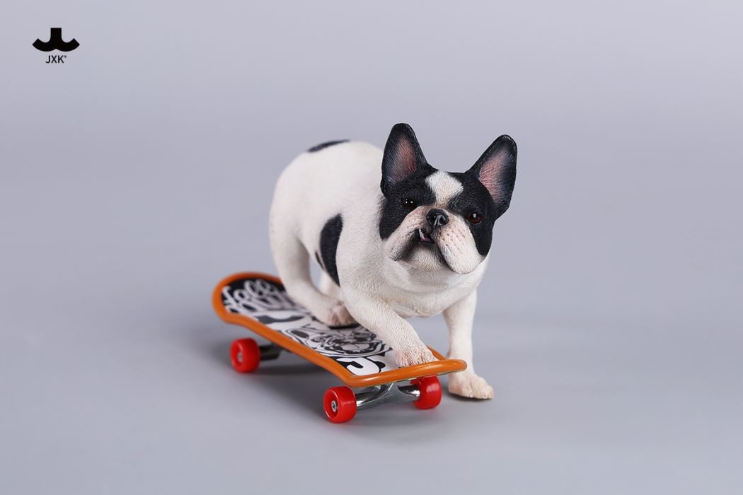 Skateboarding French Bulldog 1/6