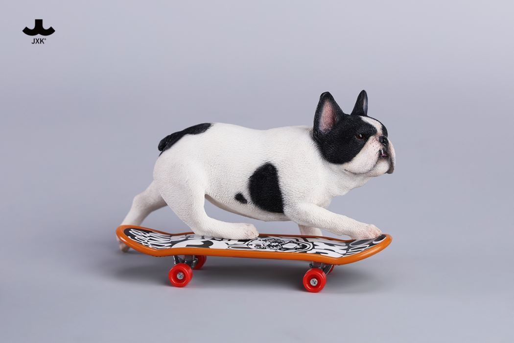 Skateboarding French Bulldog 1/6