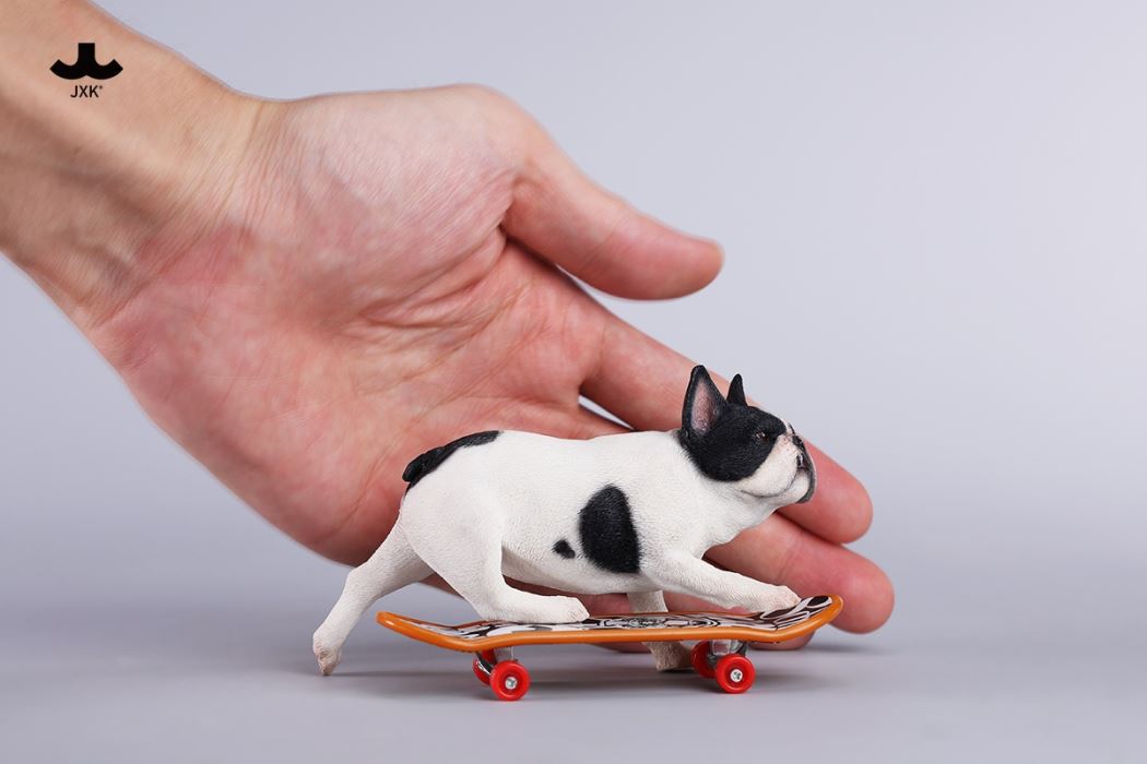 Skateboarding French Bulldog 1/6