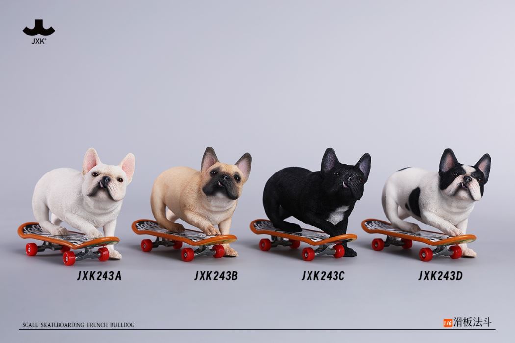 Skateboarding French Bulldog 1/6