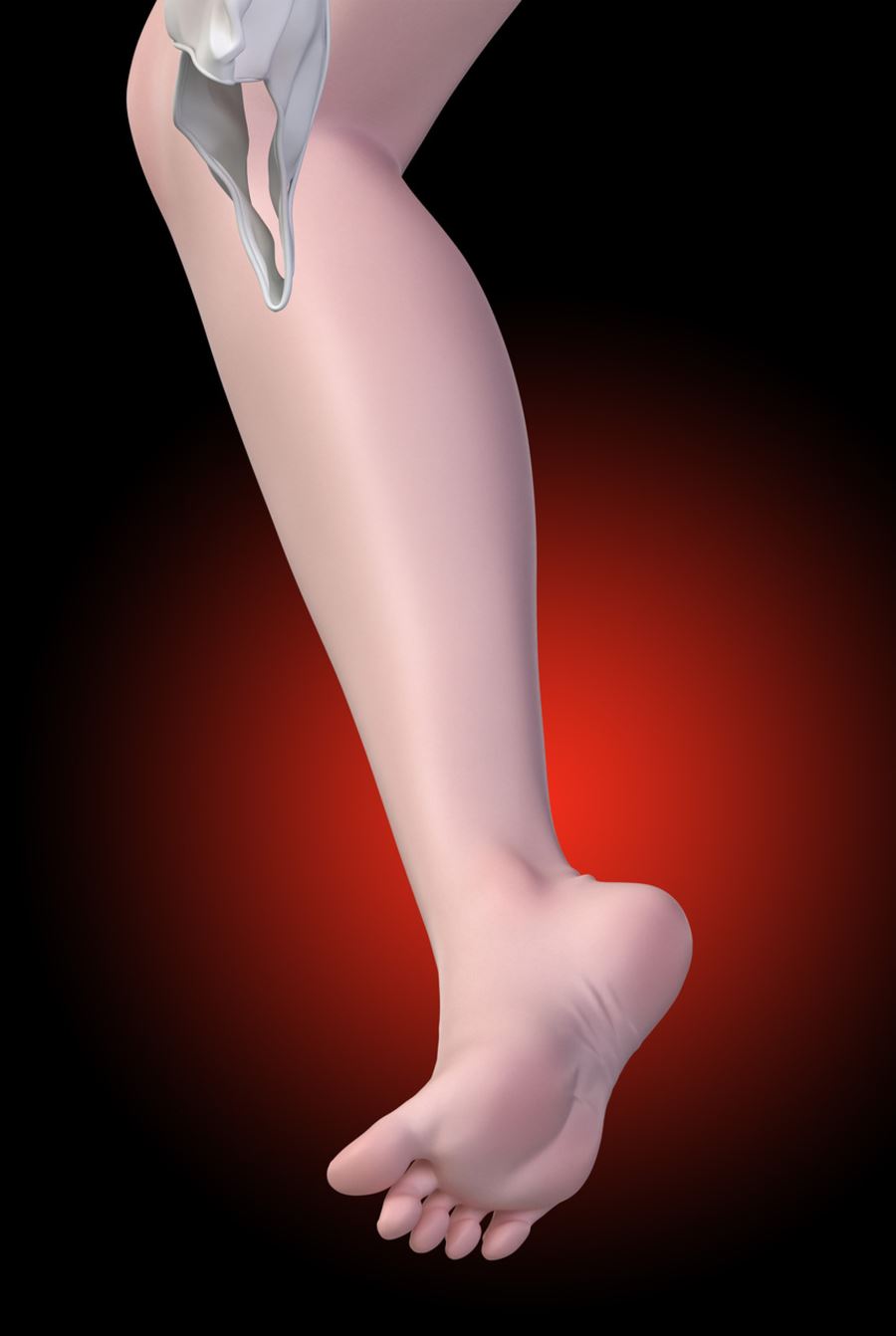 Seele Vollerei - Honkai Impact 3rd 1/6